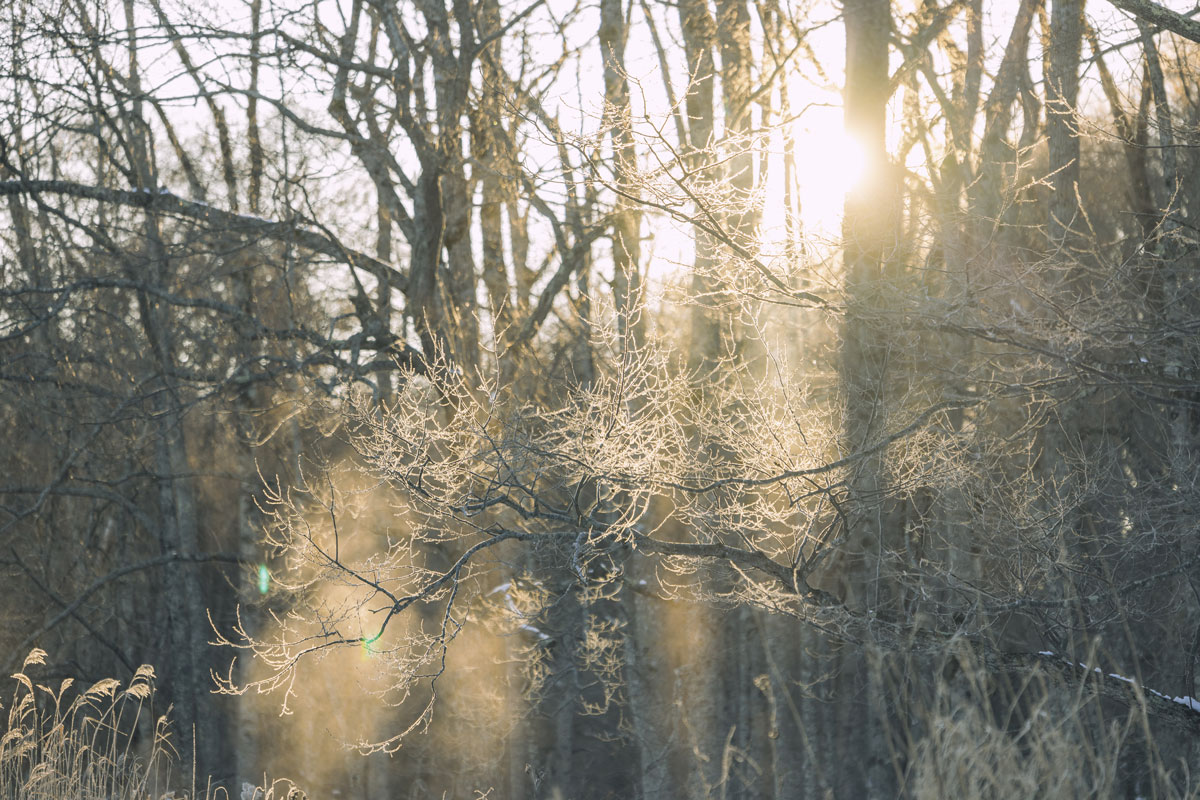  テキストが入ります。テキストが入ります。